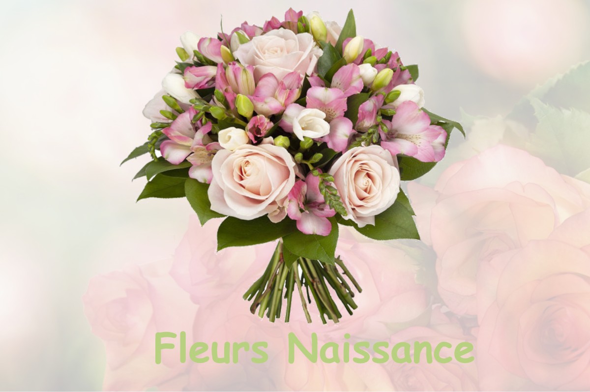 fleurs naissance SAINT-PERE-SUR-LOIRE