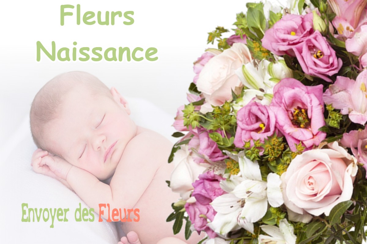 lIVRAISON FLEURS NAISSANCE à SAINT-PERE-SUR-LOIRE